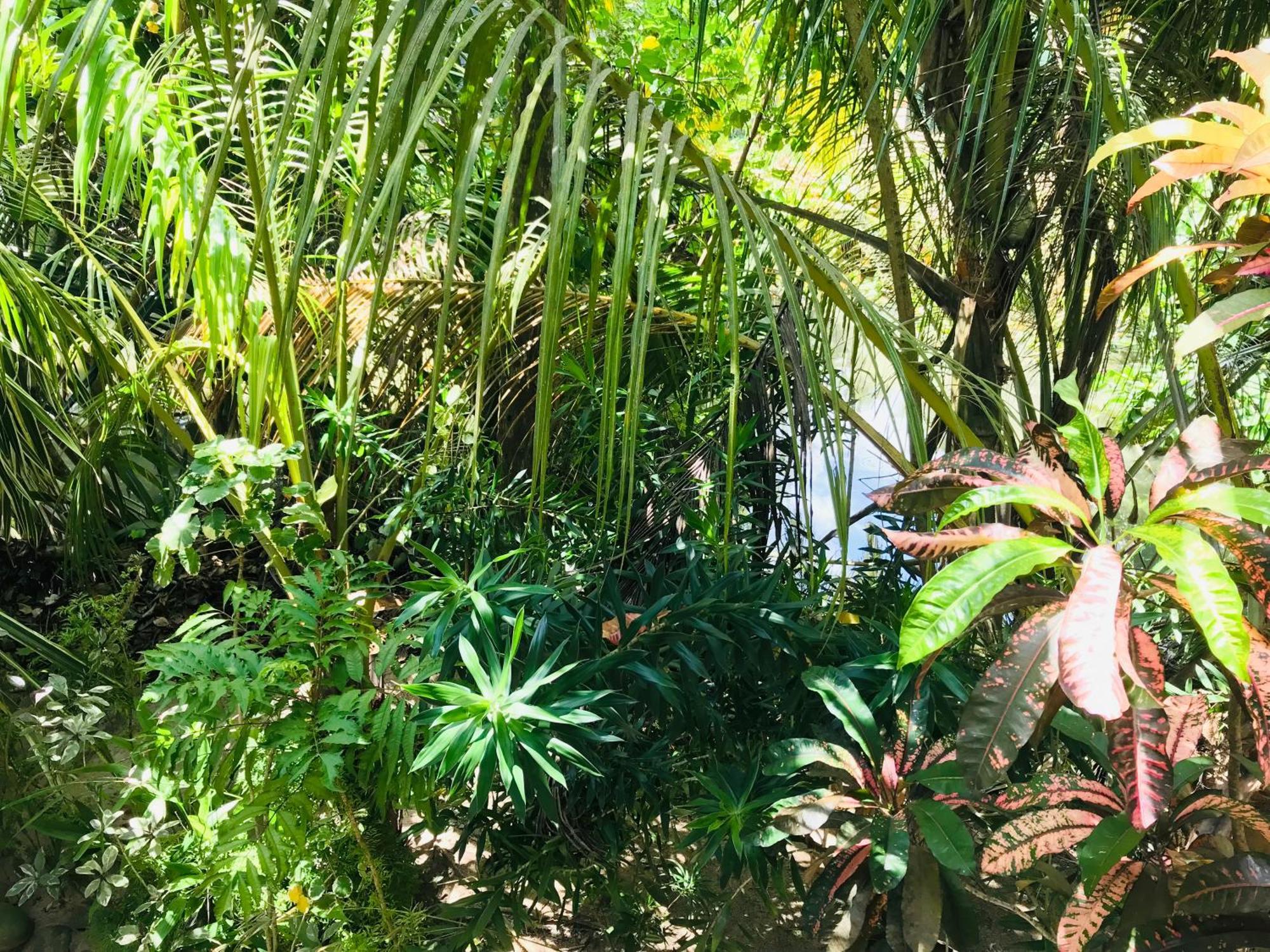 Flora And Fauna Mirissa Luaran gambar