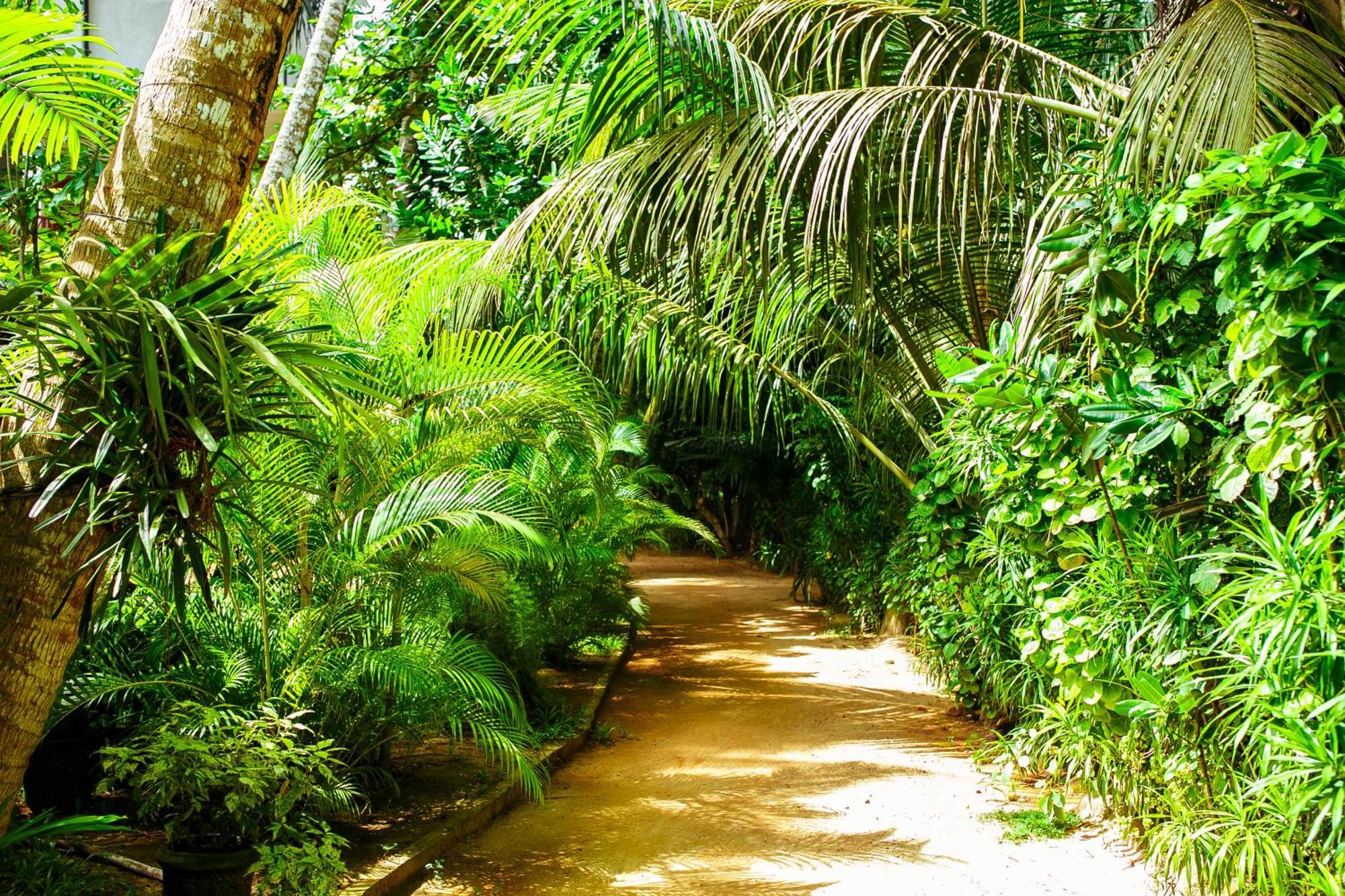Flora And Fauna Mirissa Luaran gambar