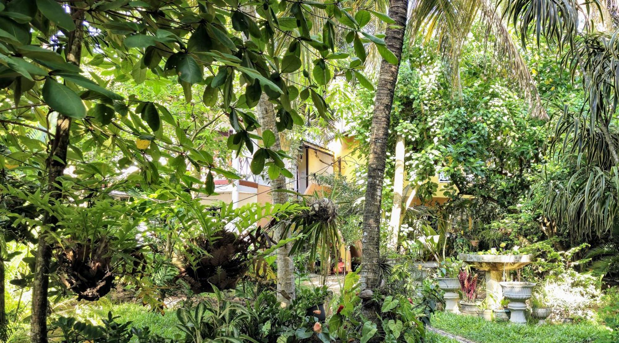 Flora And Fauna Mirissa Luaran gambar