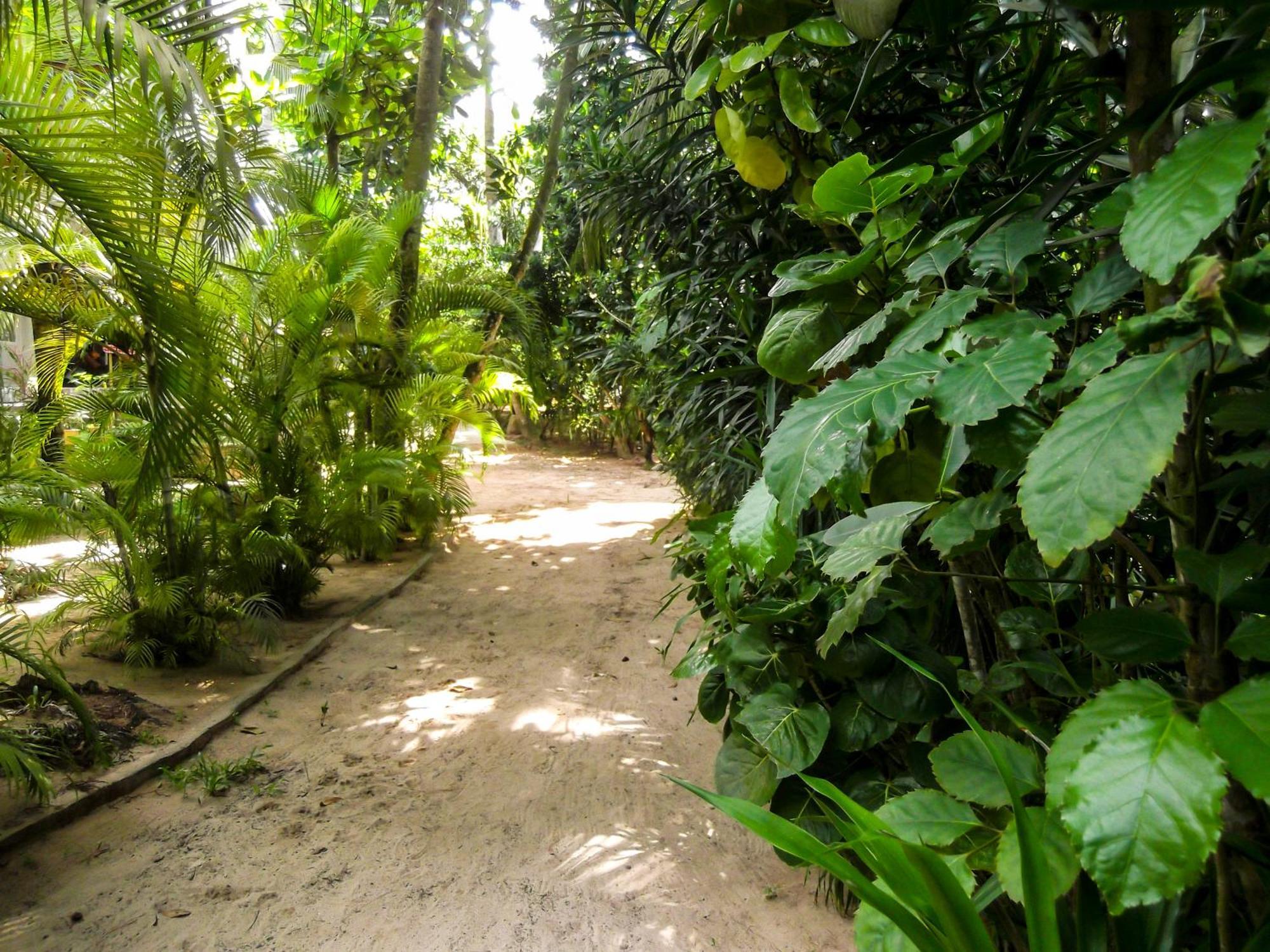 Flora And Fauna Mirissa Luaran gambar